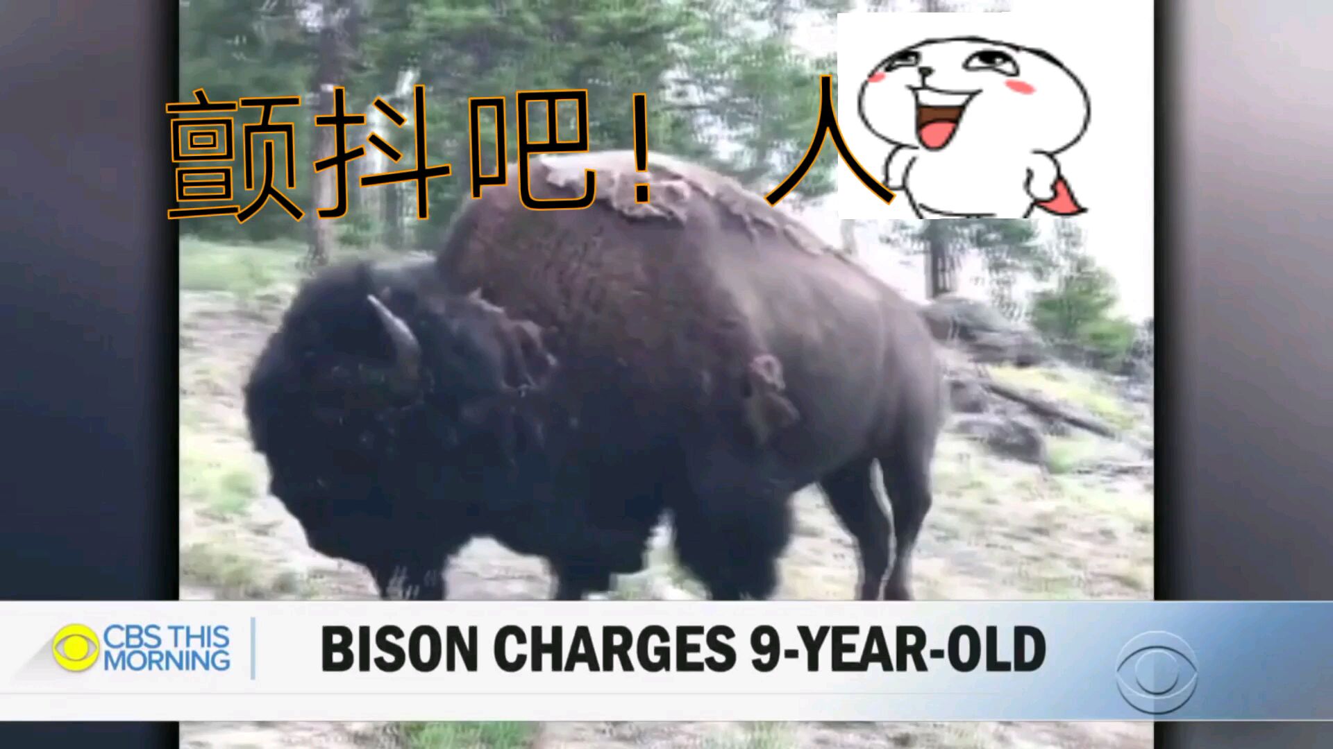 你见过犀牛发怒火时的亚子吗?(^V^)